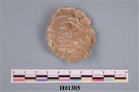 藏品(牡蠣)的圖片